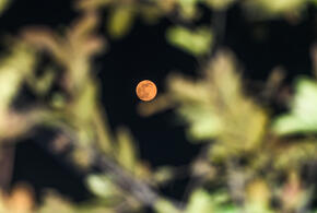 Гороскоп на 3 января 2025 года для всех знаков зодиака