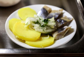 Солёная селёдка: огромная польза для одних - смертельный вред для других