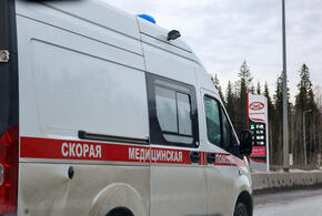 Возбуждено уголовное дело