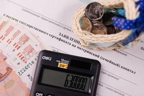 Страховой стаж россиян теперь рассчитывают по новым правилам