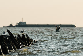 Сухогруз сел на мель у берега в Темрюкском районе Кубани