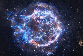 Тельцы укрепят отношения с семьей, а Львам следует ясно мыслить