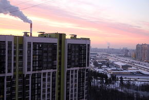 Трамп объявил о чрезвычайном положении, Великобритания готовит новые санкции: что произошло, пока вы спали