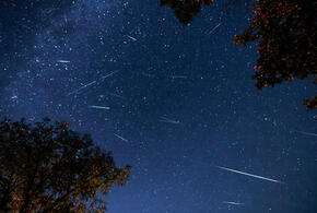 Трудности принесут Овнам новые полезные идеи, Тельцам особенно повезёт в творчестве