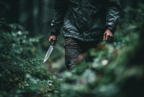 Как поймали преступника?