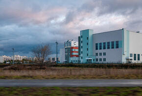 Учитель краснодарской школы назвал всех русских свиньями. Что с ним сделали?