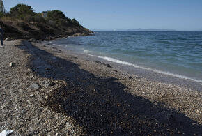 Украина атаковала нефтяные танкеры вблизи Новороссийска