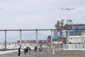 Украина ударила по кафе в Херсонской области в новогоднюю ночь, погибли 24 человека; 150-летняя церковь загорелась в Амстердаме: что произошло, пока вы спали