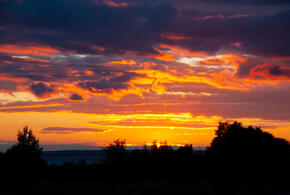 Прогноз ученых нестабильный