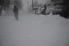 В целях безопасности на Кубани отменили занятия в школах