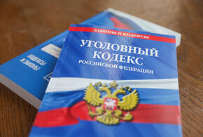В Краснодаре в отношении чернобородого драчуна, который напал на женщин, СК возбудил уголовное дело