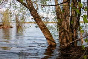 В одном из районов Кубани река опасно вышла из берегов 