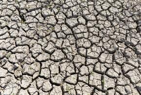 Регион уже выделил более 40 млн рублей из бюджета