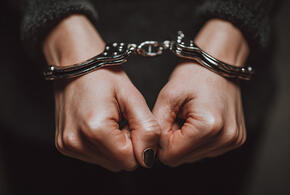 В Сочи арестованы дети депутата Госдумы Дорошенко