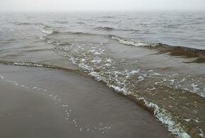 Как мужчина оправдал свои действия?