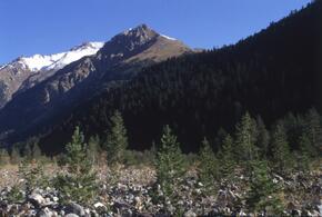 В Сочи появятся четыре новые особо охраняемые природные территории