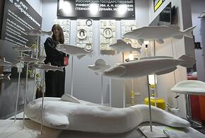 В Сочи продается самая нелепая квартира в России