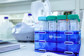 Вирус Нипах