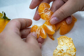 Включить чувство меры: врач рассказала об опасности переедания цитрусовых