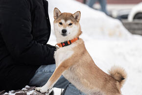 Местные говорят, что сигнал тревоги звучит только после взрывов