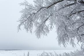Мы собрали для вас новости, которые обязательно надо обсудить с коллегами, друзьями или родственниками