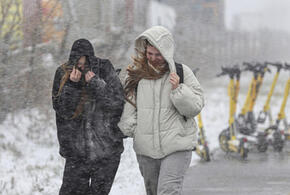 Заморозки надвигаются на черноморское побережье Кубани