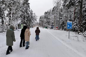 Город оказался парализован из-за снежного апокалипсиса