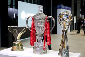 Возбуждено уголовное дело