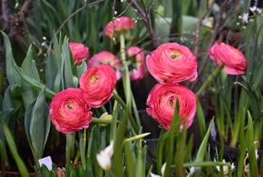 Политик требует вмешательства ФАС