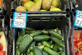 ФАС пообещала проверить цены на огурцы, которые в дороговизне обогнали даже экзотические фрукты. Сколько стоят сейчас овощи в Краснодарском крае?