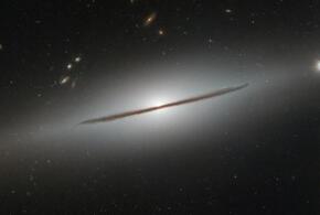 Гороскоп на неделю со 23 февраля по 1 марта 2026 года от «Живой Кубани»