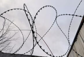 Педофил получил 15 лет колонии строгого режима