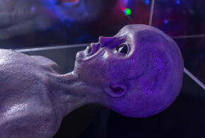 Проверку и публикацию материалов поручили военным ведомствам