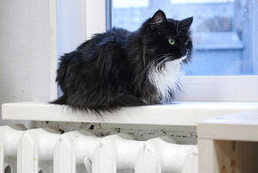 Из-за аварии на сетях в Краснодаре отключили подачу отопления в детские сады, школу и жилые дома