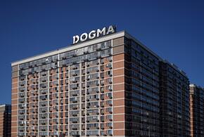 Каждая пятая купленная в Краснодаре квартира в 2024 году – от DOGMA 