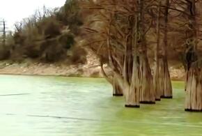 Кипарисовое озеро под Анапой не погибло