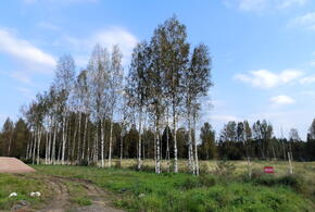 Когда ждать самый тёплый день: синоптики рассказали о погоде в марте в Краснодарском крае