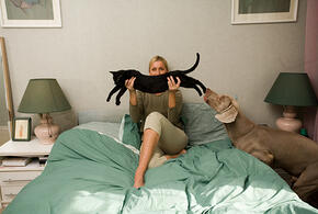 Кому особенно полезен сон с кошками, рассказали эксперты