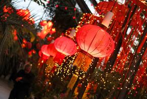 Китайский Новый год