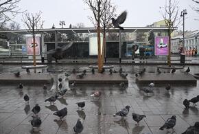 Кубань ожидает похолодание: температура резко понизится 