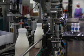 Кубанский маслосырзавод производил и продавал продукты, скрывая истинный их состав