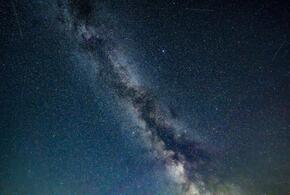 Львам придётся быть терпеливыми, у Стрельцов появятся новые идеи для самосовершенствования