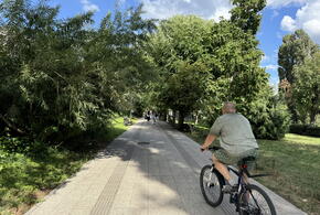 Мэрия Краснодара собирается потратить почти миллиард на озеленение в городе