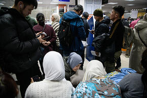 Мигрантам запретили работать продавцами и курьерами на юге России