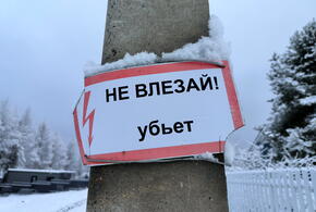 Единственный выход, который увидит здесь житель, – искать юриста и готовиться к войне