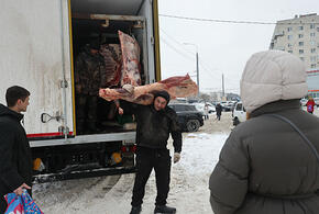 Мясо неизвестного происхождения пытались завезти на Кубань