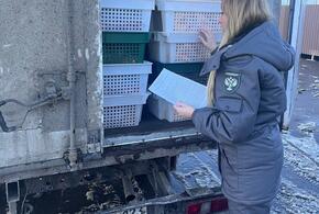 Проверки на контрафакт