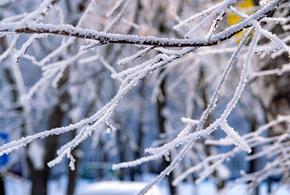 Морозы на Кубани
