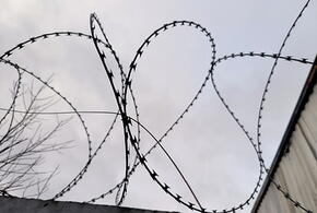 Нападение на сотрудников колонии готовилось на Кубани