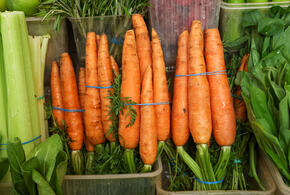 Гастроэнтеролог рассказала о рисках